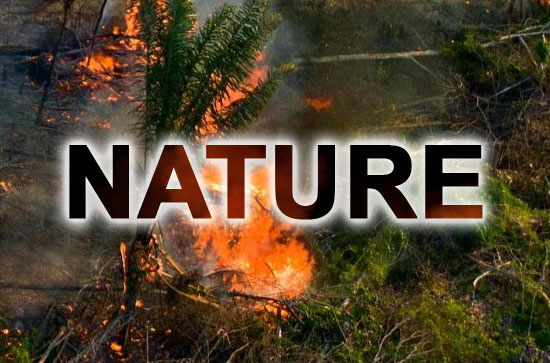 nATURE